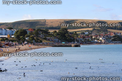 Stock image of view of Swanage beach / coastline, English seaside town, seagulls, sea