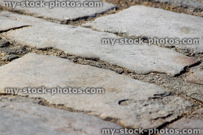 Stock image of cobbles / cobblestone path, block paving, paved pathway