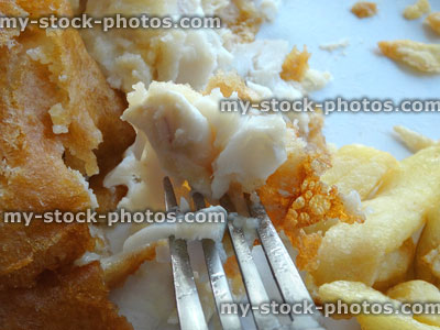 Stock image of white fish / battered cod and chips, close up fork