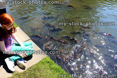 Stock image of girl sat next to lake, with koi carp swimming by