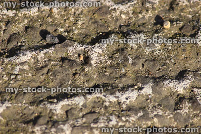 Stock image of concrete driveway close up, showing texture and pattern / cement