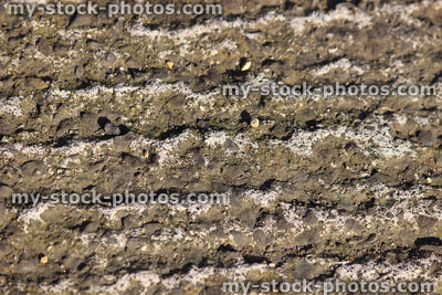 Stock image of grey concrete drive close up, showing texture and surface