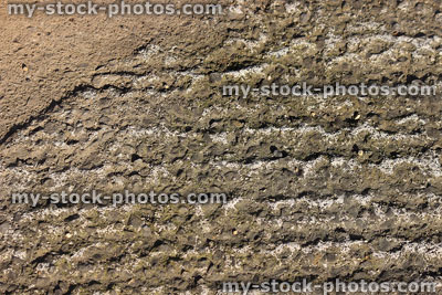 Stock image of concrete ridges on driveway, close up texture / cement pattern