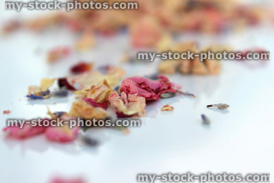 Stock image of natural biodegradable wedding confetti, dried delphinium / rose flower petals