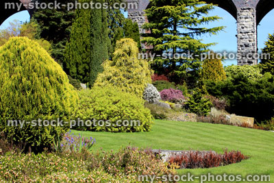 Stock image of conifers in rock garden, including cypress / cedar trees