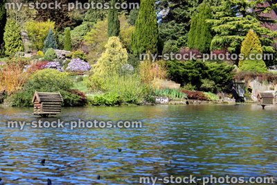 Stock image of pond ripples with rock gardens and conifers reflecting