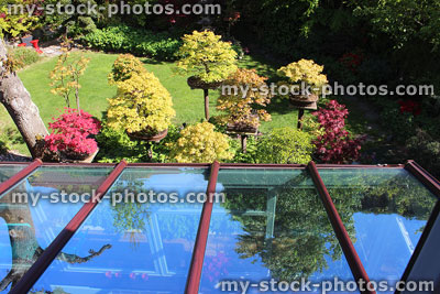 Stock image of lean to glass conservatory roof and back garden, reflecting sky