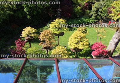 Stock image of back garden with rectangular glass conservatory roof panels