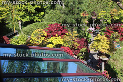 Stock image of glass panels on conservatory roof, reflecting sky and garden