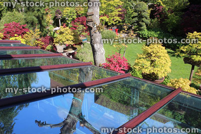 Stock image of glass conservatory roof panels reflecting trees / blue sky