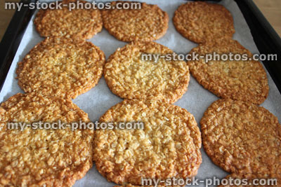 Stock image of freshly baked cookies / oat biscuits on oven tray