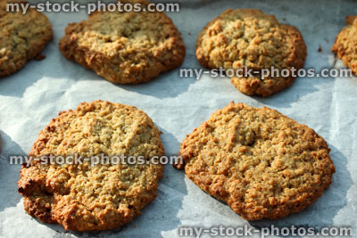 Stock image of freshly baked cookies / oat biscuits on oven tray