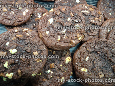 Stock image of freshly baked dark chocolate chip cookies cooling down