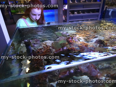 Stock image of girl looking at marine aquarium / saltwater reef tank, living coral