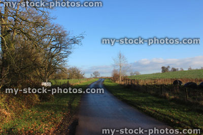 Stock image of wet country lane, max speed 20 road sign
