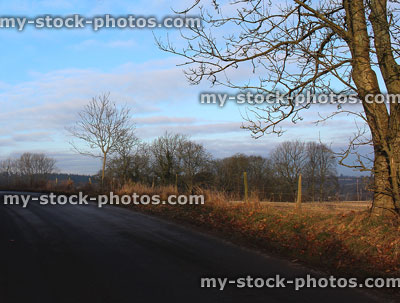 Stock image of tarmac lane in countryside, frosty winter road, hedgerow