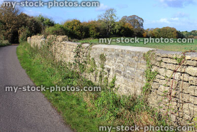 Stock image of countryside lane with cobblestone wall covered in ivy