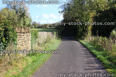Stock image of countryside lane with cobblestone wall covered in ivy