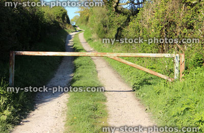 Stock image of country lane used by farm, with hedges / hedgerows