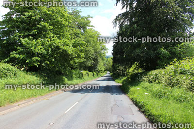 Stock image of rural English countryside road with hedgerow, trees and grass verges