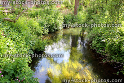Stock image of healthy fast flowing river with clear water and pondweed