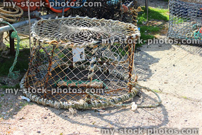 Stock image of empty round crab / lobster pot at fishing harbour