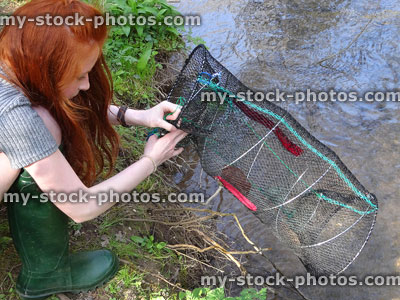Stock image of a teenage girl baiting crayfish net, freshwater stream