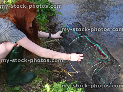 Stock image of collapsable crayfish net being set by teenage girl