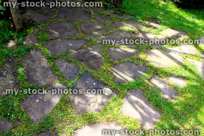 Stock image of overgrown crazy paving on garden patio, covered in weeds