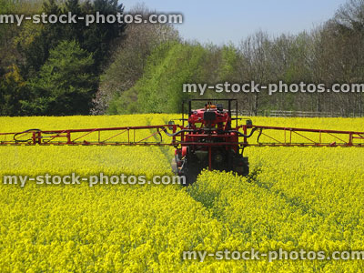 Stock image of crop spraying field of oilseed rapeseed / canola with pesticide