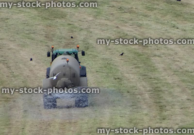 Stock image of farmer spraying crop with chemicals, insecticides and fungicides