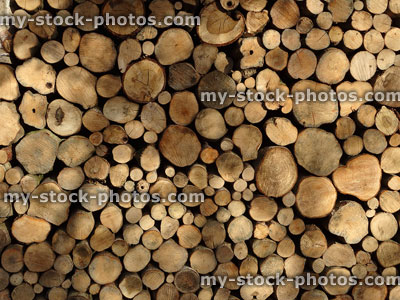Stock image of pile of sawn logs / firewood stacked high, tree rings