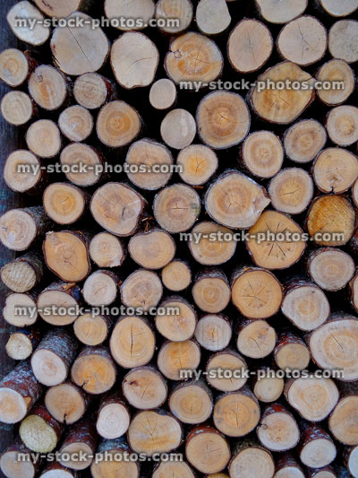 Stock image of vertical log pile in timber store, seasoning firewood