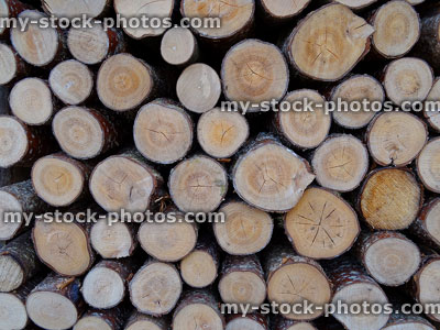 Stock image of neatly stacked log pile of seasoning firewood timber