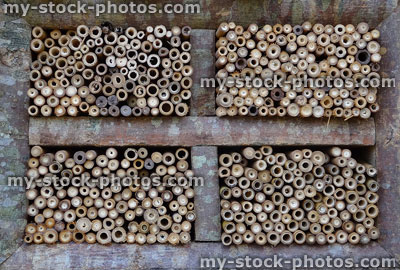 Stock image of homemade insect house / bug hotel with twigs / bamboo canes
