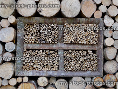 Stock image of large insect hotel / bug hotel with logs, wood, bamboo canes