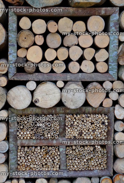 Stock image of wooden insect hotel / house with compartments for bugs