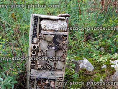 Stock image of freestanding homemade insect house / home, bamboo canes, logs