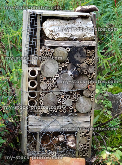 Stock image of bug hotel / house for insects in wildlife garden
