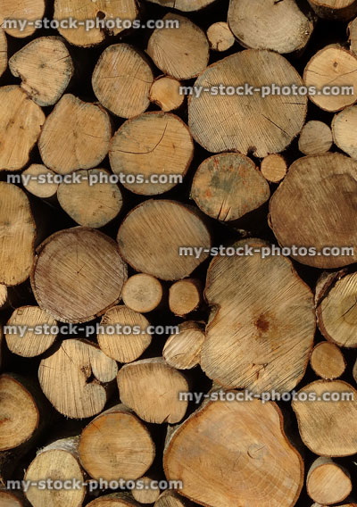 Stock image of seasoned firewood, pile of logs showing tree rings