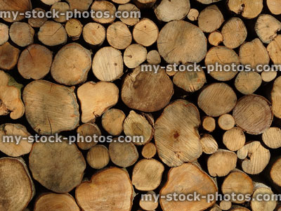 Stock image of seasoning firewood, wet logs drying out in stack