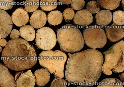 Stock image of freshly cut firewood logs drying out, log pile seasoning outside