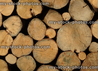 Stock image of pile of logs, home for insects and wildlife