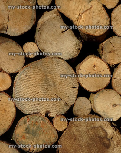 Stock image of seasoning firewood stack drying out, log pile insect house