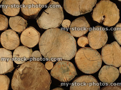 Stock image of pile of cut logs stacked up for firewood