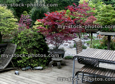 Stock image of bonsai trees on decking