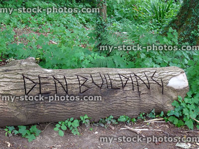 Stock image of felled tree trunk with Den Building carved into bark