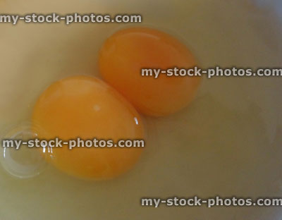Stock image of double yolk egg, single egg / two yolks / double yolker