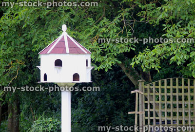 Stock image of homemade dovecote birdhouse in garden, white dovecot on post