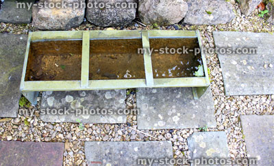 Stock image of agricultural water trough on garden patio for dogs